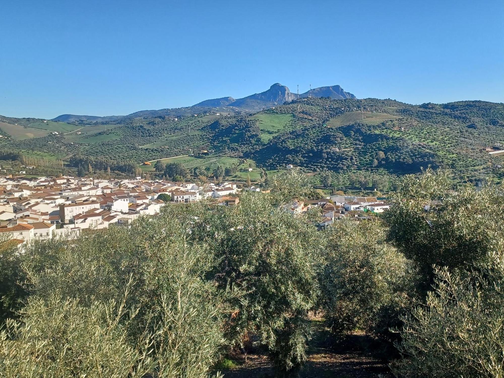 Holiday home Casa Manuela. Algodonales