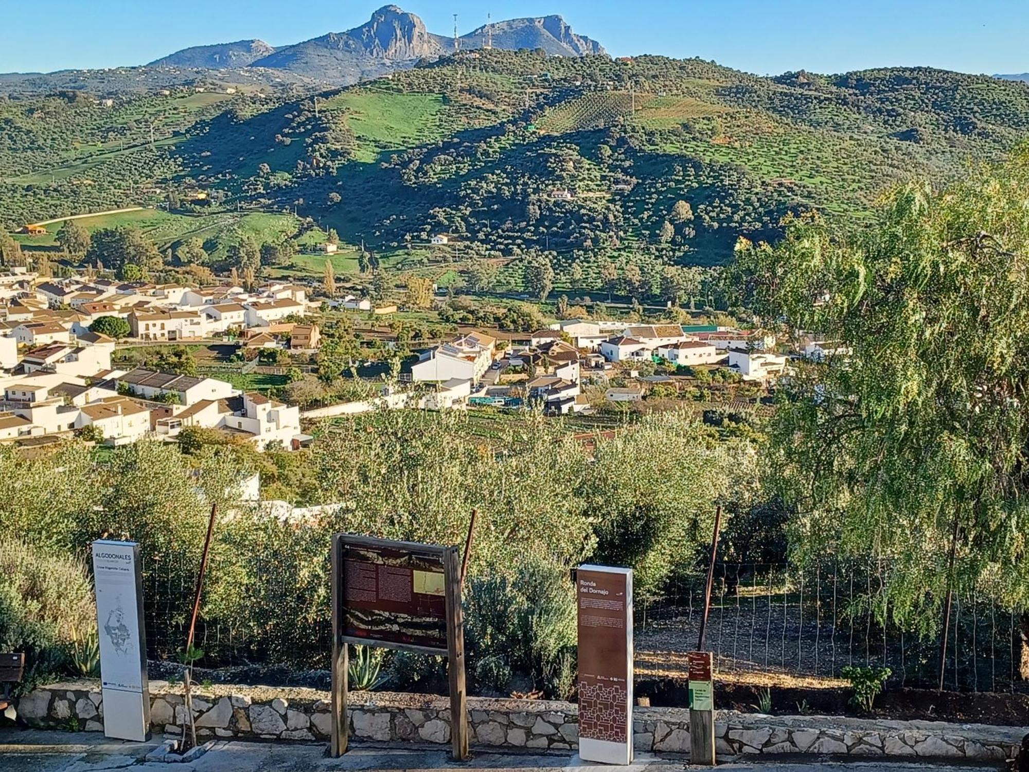 Casa Manuela. Holiday home