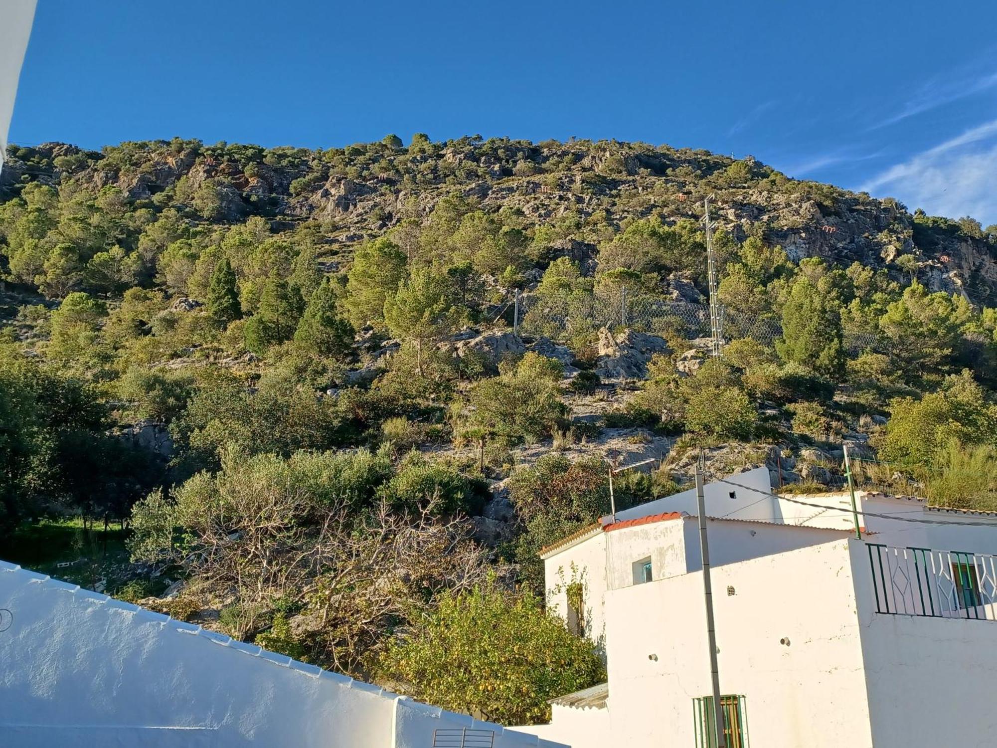 Holiday home Casa Manuela. Algodonales